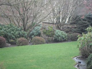 well maintained lawn